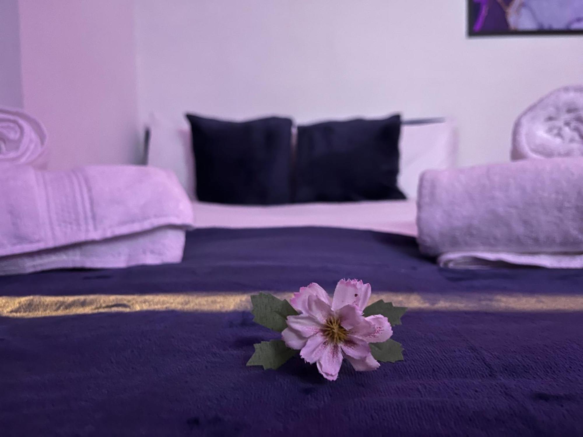 Apartment In Camden, Central Location Londra Esterno foto